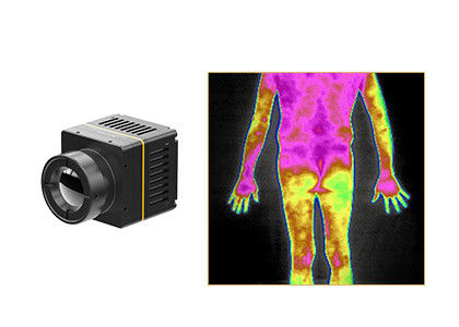 Thermography μη επαφών μη ψυχόμενη ενότητα 384x288 17μM θερμικής λήψης εικόνων